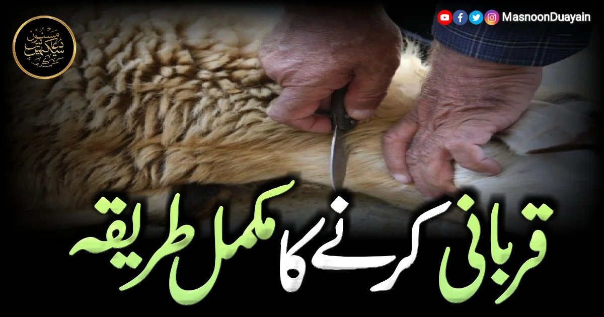 قربانی کرنے کا مکمل طریقہ ، احکام اور مسائل